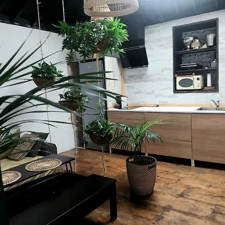 Charming Colonial House Apartmán