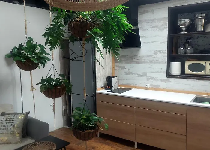 Charming Colonial House La Laguna (Tenerife)