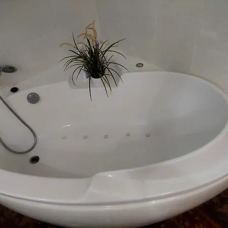 Charming Colonial House 아파트